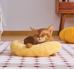 Plush Cat U-Shaped Sleeping Pillow